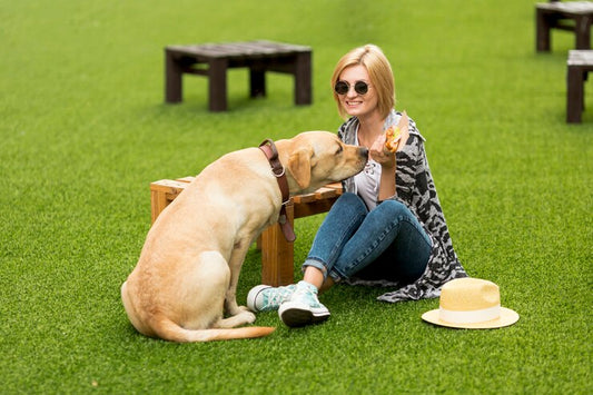 Transform Your Lawn into a Drought-Resistant Oasis with DOG TUFF™ grass